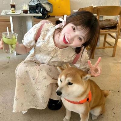 深夜！天才傻鹏